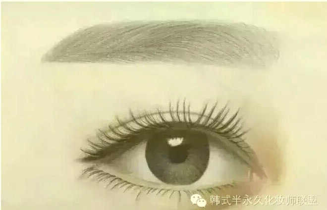關於飄眉